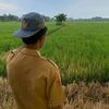dhani.aiss