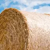 haythebale