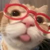 hantichkiemgichxngdep