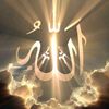 nasirahmad2395