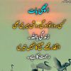zani.majeed