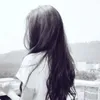 dhi_338