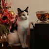 bella5459