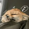 pamthapcam