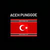 acehpungoe73