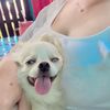 kittyzuza3
