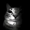 fizzxy404