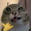 asimpleperson34