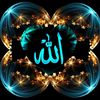 user5214747725608