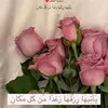 sawsanabed919