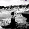 ziad_elsbagh1