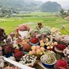 thanh.nguyen2904
