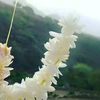 ferial.mohammed17