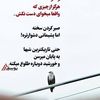 user7524206611541