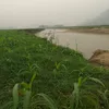 ngi.vng.cao510