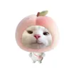 lamolmchx