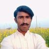 munawar.abbas.tra