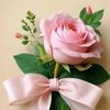 user1608561713987
