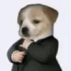 _hiu11_