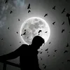user47851006056303