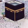 user5781012067463