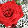 user73814616001776