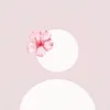 charlotte_dodd2024
