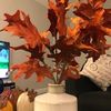 maryland_1md