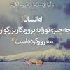 morteza.alfa.8118