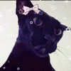 miss_maryoma0v0
