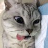 ilyyyyyy_20