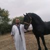 hamani.316
