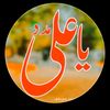ansaribrandhi