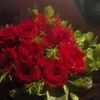 amnyiahmed