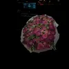 abo_3aa1