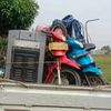 kang.adul56