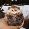 cheweey
