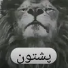 user020488309