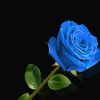 yose993_