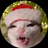ryan_yamal270