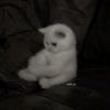 jana.khaled9024