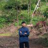 mtalforest