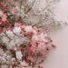 chichek_28