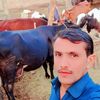 mithal.abbas8