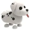 dalmata.perro1