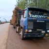 tioelvio150