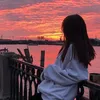 zno_507
