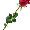 elifpolat279
