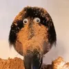 jackotaco13.alt