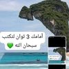 user1381483371746